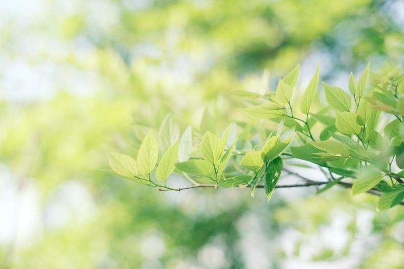 みらいエナジーソリューションズ株式会社 10